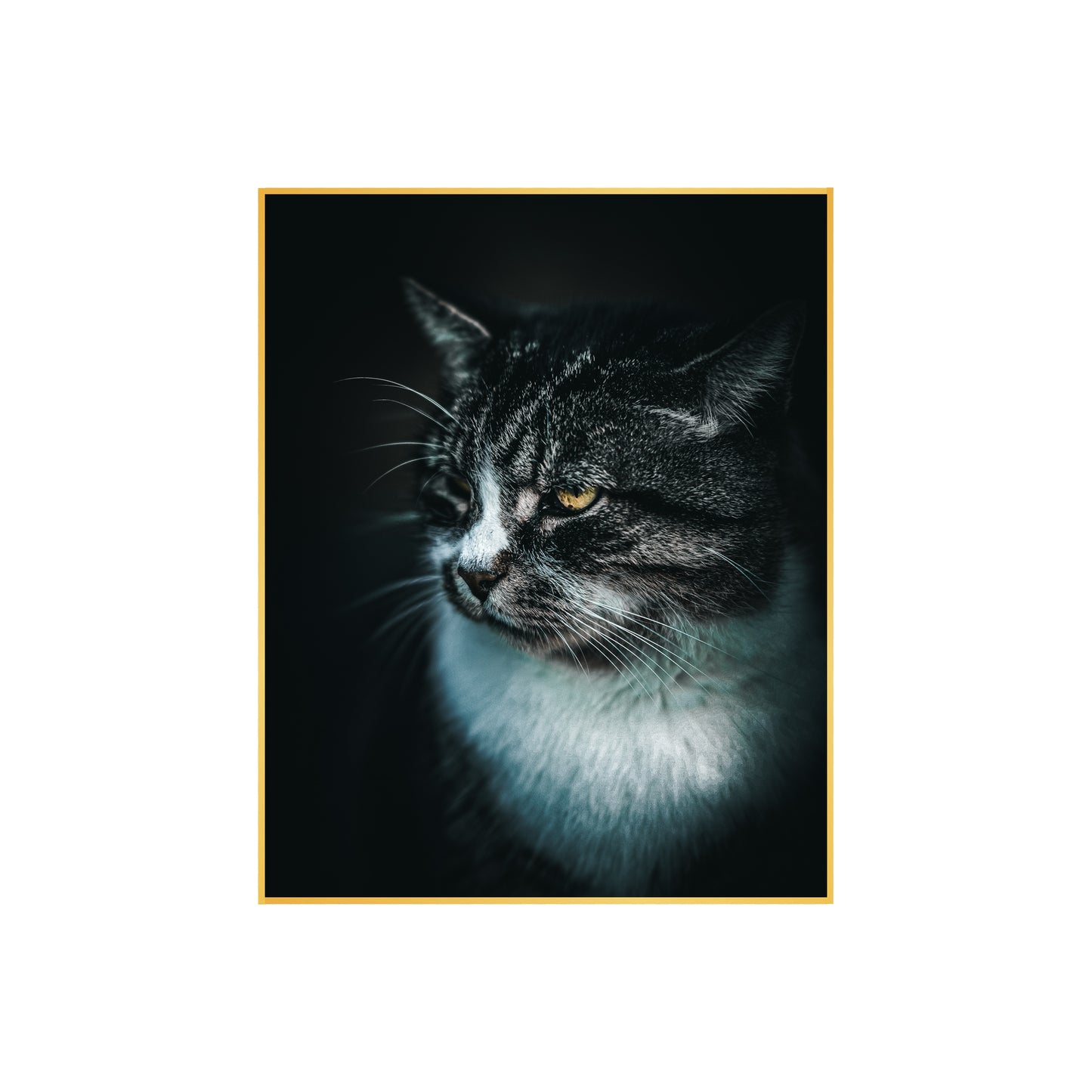 Stunning Cat Portrait Print for Pet Lovers - Wall Art Decor || Cat picture || Cat lover || Adorable cat