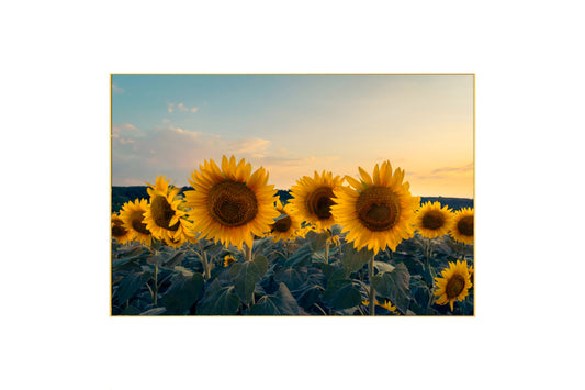 Sunflowers: Bright & Cheerful Floral Home Decor, Summer Bouquet, Beautiful Gift, Handcrafted Nature Art, Rustic Charm