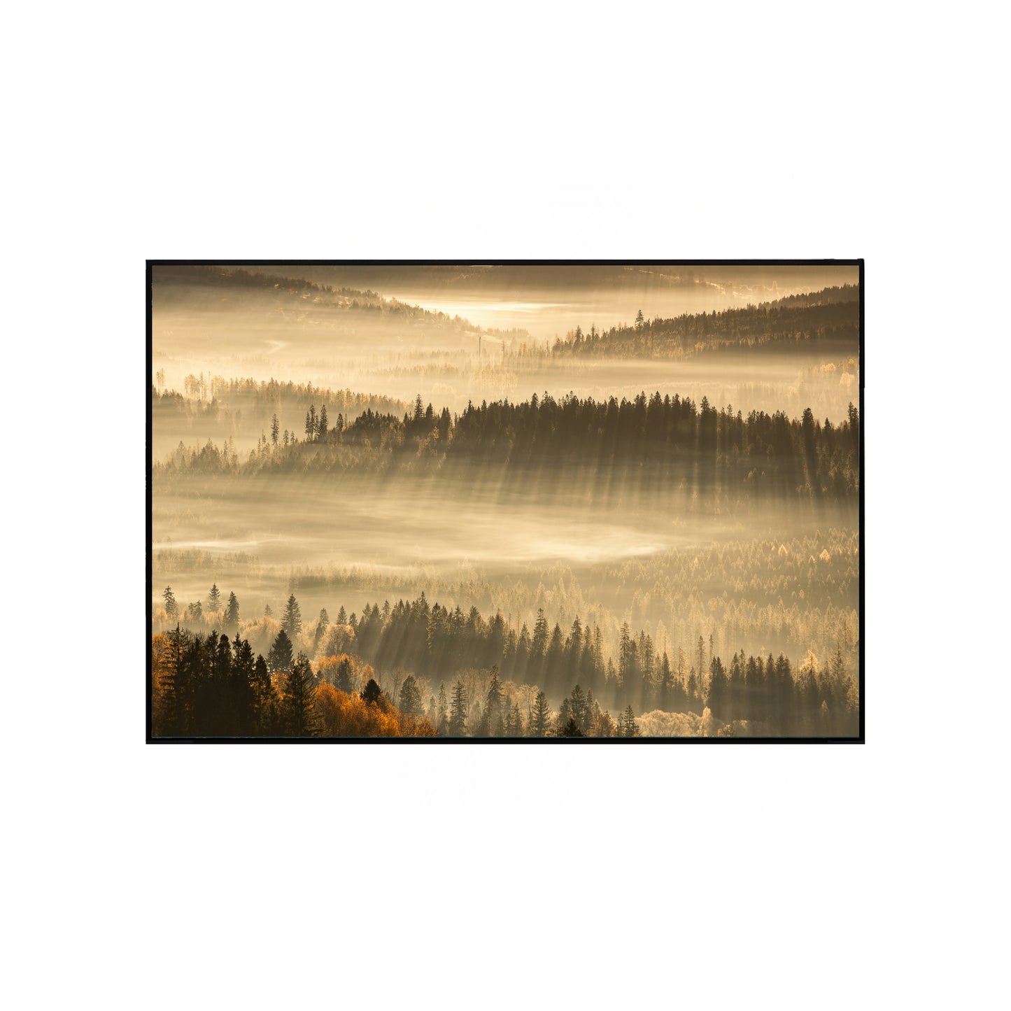 Radiant Sunrise Through the Forest – Glowing Rays and Tranquil Nature Print