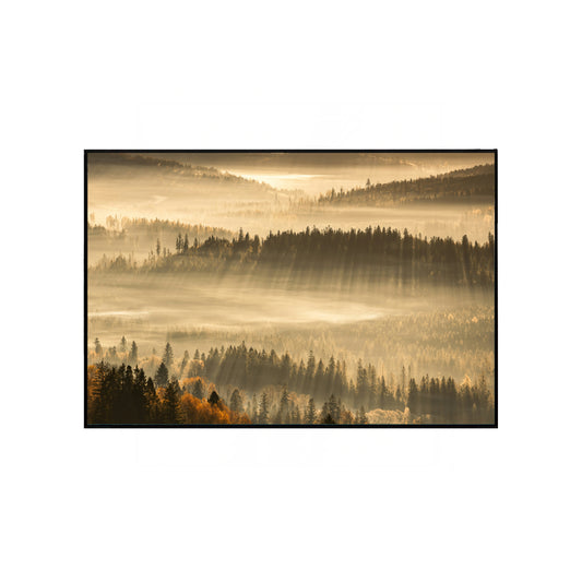 Radiant Sunrise Through the Forest – Glowing Rays and Tranquil Nature Print