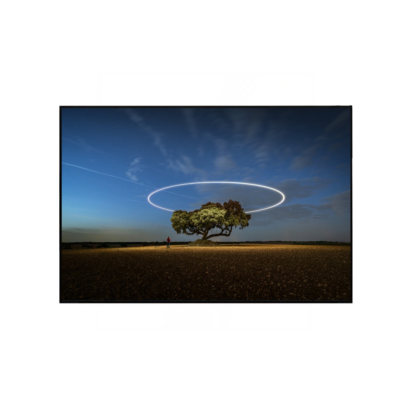 Tree Beneath Starry Sky with Light Trails – Enchanting Nightscape Print