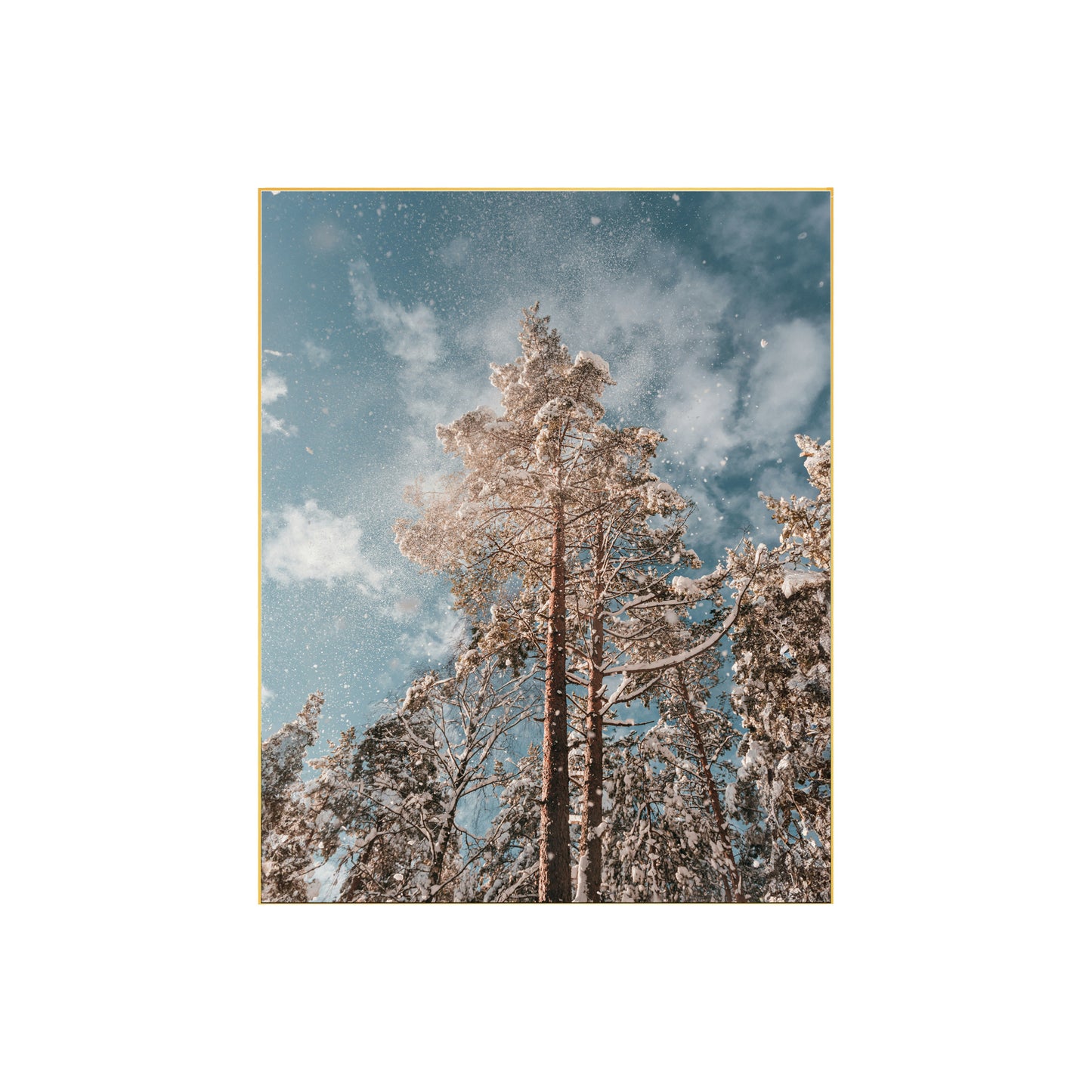 Snow on Trees Print | Winter Forest Wall Art | Serene Nature Photography | Peaceful Home Decor, Seasonal Art