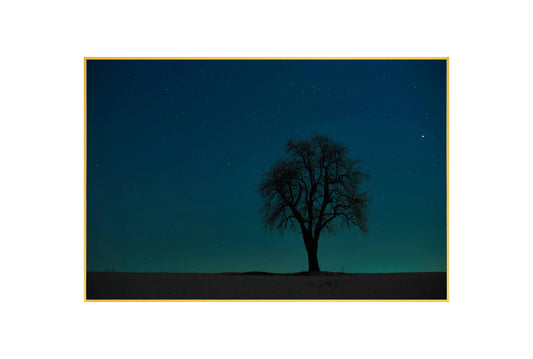 Starry Night Tree Art Print: Dreamy Sky Landscape with Stars Wall Decor