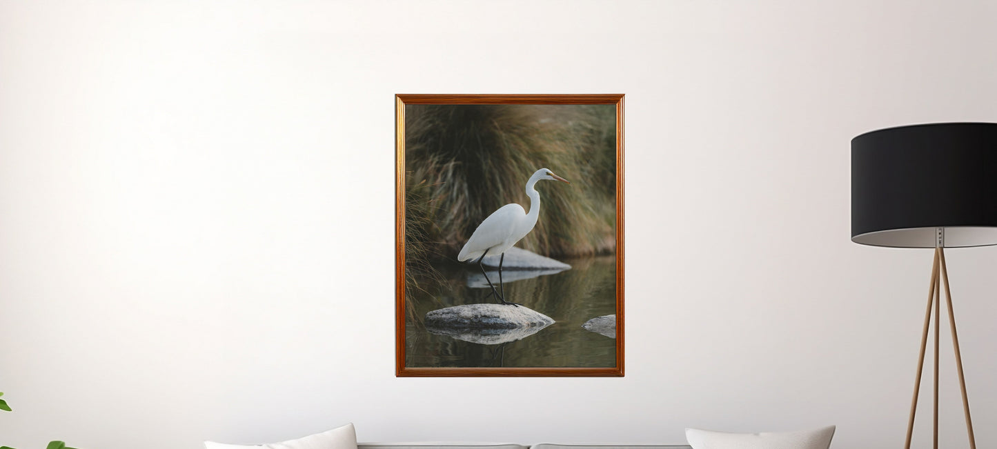 Graceful Egret on Rock in Water – Serene Nature Art Print