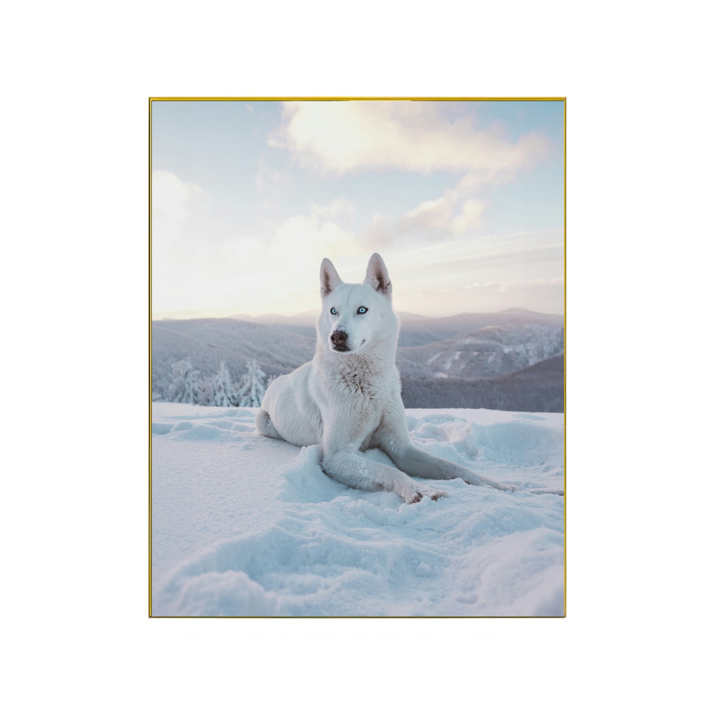 Majestic White Wolf in Snow – Stunning Wildlife Art Print | High-Resolution Photo or Premium Canvas