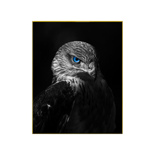 Blue-Eyed Eagle – Bold Wildlife Art Print || Photo Print || Canvas Print