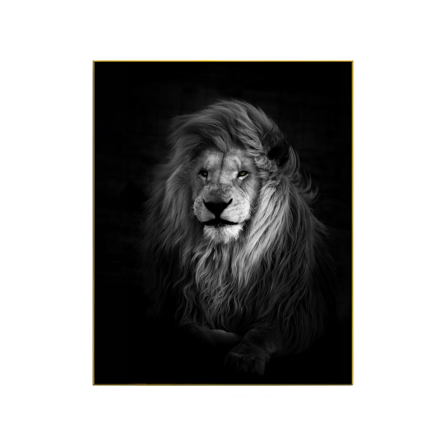 Powerful LION Close-Up – Striking Wildlife Art Print | High-Resolution Photo or Premium Canvas